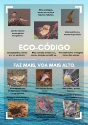 Eco-Código 2022 EBS Graciosa.png